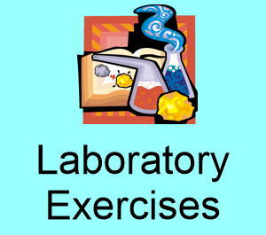 Laboratory Exercises