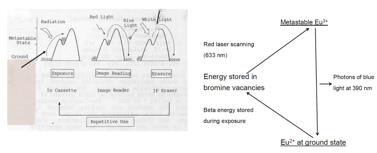 textbook:nrctextbook:detection_of_beta_radioation_autoradiography_fig_13_4.png