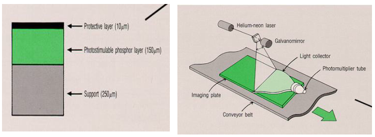 textbook:nrctextbook:phosphor_screen_autoradiography_fig_13_5.png