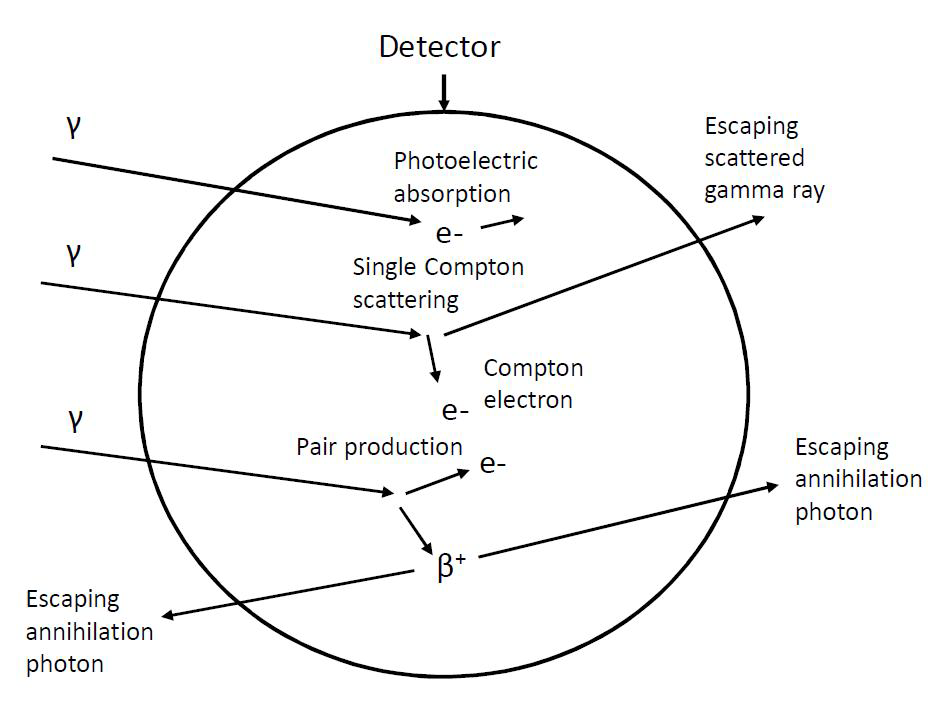 textbook:nrctextbook:photoelectric_effect_compton_pair_fomation_detectors_fig_9_9.png