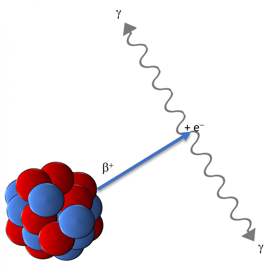 positron_emission_and_annihilation.png